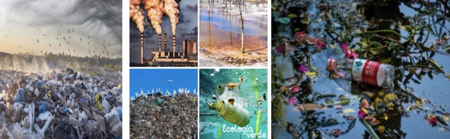 Causes+for+Environment+Pollution+in+the+Flora+and+Fauna