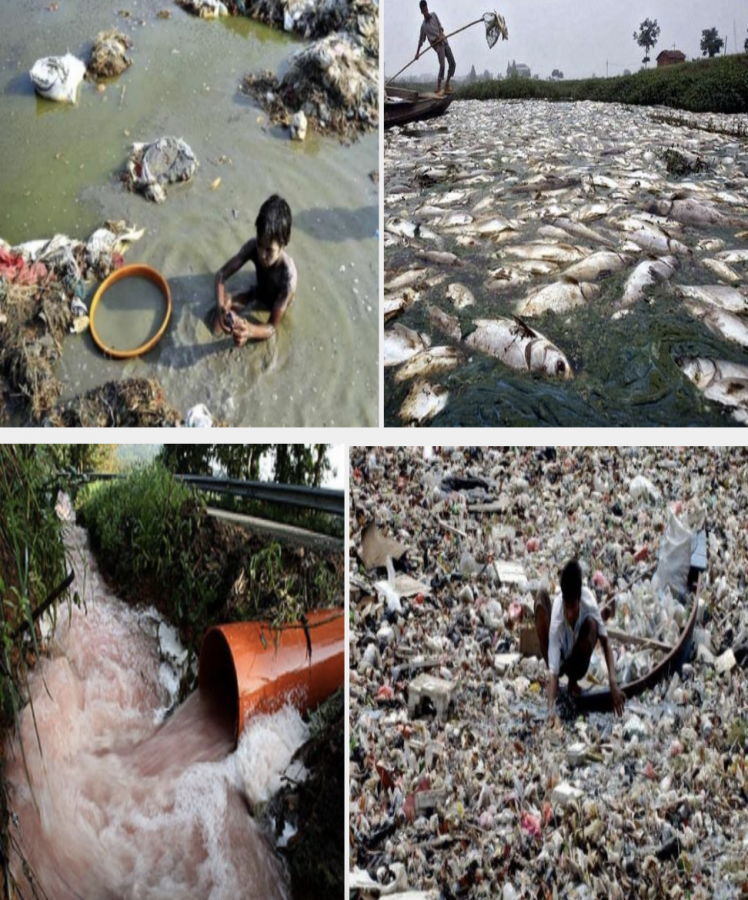 Environmental Pollution is Very Visibly Affecting Everyone Today - A Photo story