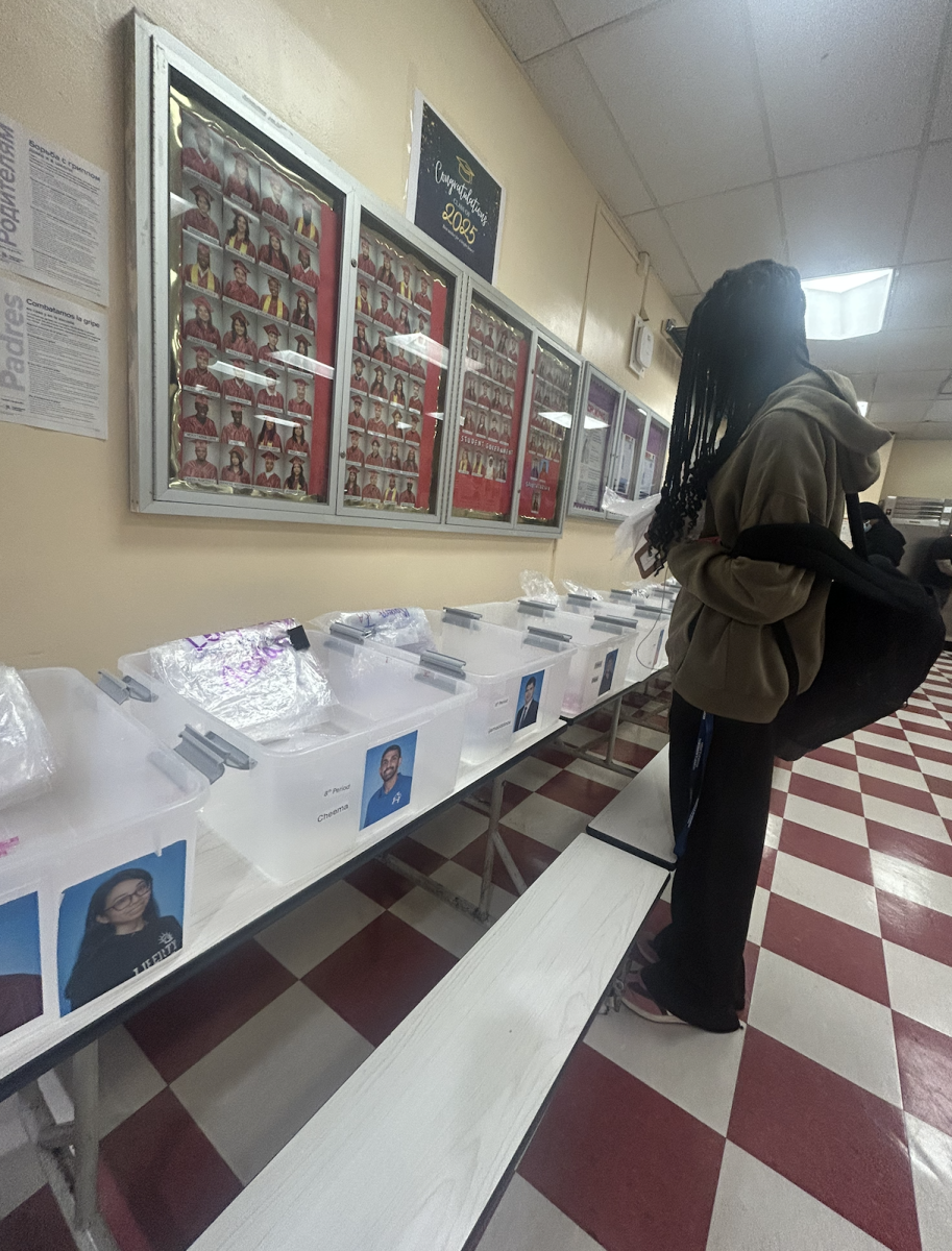 The Effect of the Phone Ban on Students